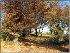 foto Alle pendici del Monte Grappa in Autunno